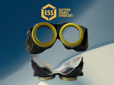 Leather Pinting Goggles